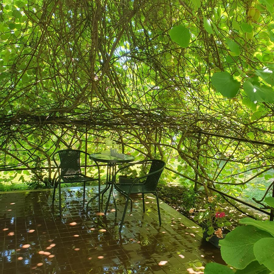 Sophie'S Guesthouse Siofok Ngoại thất bức ảnh