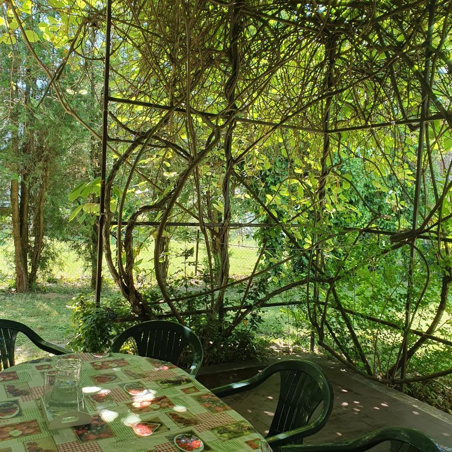 Sophie'S Guesthouse Siofok Ngoại thất bức ảnh